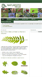 Mobile Screenshot of naturfoto-hecker.com